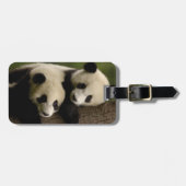 Riesenpanda (Ailuropoda melanoleuca) 2 Gepäckanhänger (Vorderseite horizontal)