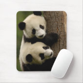 Riesenpanda (Ailuropoda melanoleuca) 2 Mousepad (Mit Mouse)