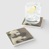 Riesenpanda (Ailuropoda melanoleuca) 2 Steinuntersetzer (Seitenansicht)