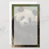 Riesenpanda Ailuropoda melanoleuca) Familie Briefpapier (Vorne/Hinten)