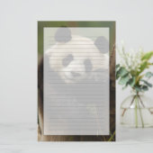 Riesenpanda Ailuropoda melanoleuca) Familie Briefpapier (Stehend Vorderseite)