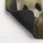 Riesenpanda (Ailuropoda melanoleuca) Mousepad (Ecke)