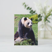 Riesenpanda auf einem Stein Feiertagspostkarte (Stehend Vorderseite)