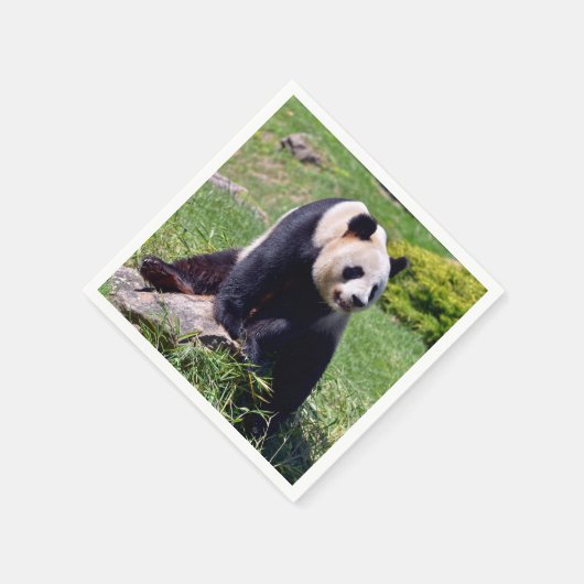 Riesenpanda auf einem Stein Serviette (Ecke)