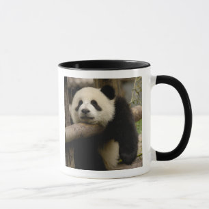 Riesenpanda-Baby Ailuropoda melanoleuca) Tasse