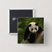 Riesenpanda-Baby Button (Vorne & Hinten)