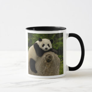 Riesenpanda-Baby Tasse