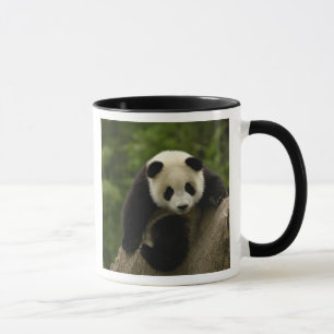 Riesenpanda-Baby Tasse