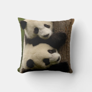 Riesenpanda-Babys (Ailuropoda melanoleuca) 2 Kissen