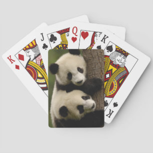 Riesenpanda-Babys (Ailuropoda melanoleuca) 2 Spielkarten