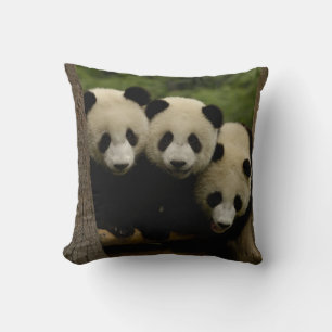 Riesenpanda-Babys Ailuropoda melanoleuca) Kissen