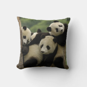 Riesenpanda-Babys Ailuropoda melanoleuca) Kissen
