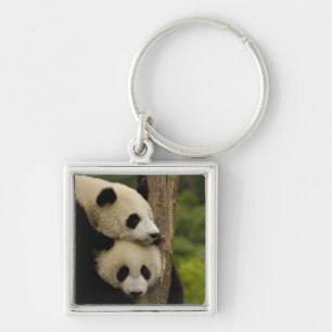 Riesenpanda-Babys Ailuropoda melanoleuca) Schlüsselanhänger