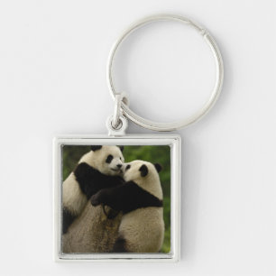 Riesenpanda-Babys (Ailuropoda melanoleuca) Schlüsselanhänger