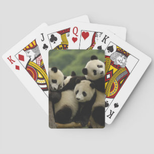 Riesenpanda-Babys Ailuropoda melanoleuca) Spielkarten