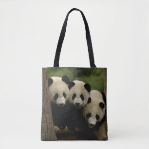 Riesenpanda-Babys Ailuropoda melanoleuca) Tasche