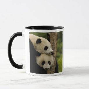 Riesenpanda-Babys Ailuropoda melanoleuca) Tasse
