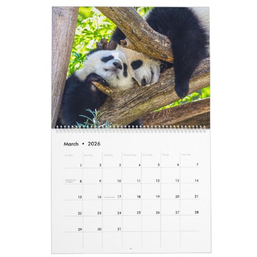 Riesenpanda-Babys Kalender (Mär 2026)