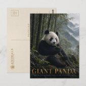 Riesenpanda-Bambuswald TIERE Postkarte (Vorne/Hinten)