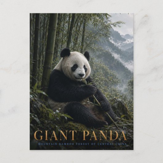 Riesenpanda-Bambuswald TIERE Postkarte (Vorderseite)