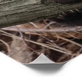 Riesenpanda, der sich entspannt und umarmt, Baumzw Poster (Ecke)