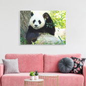 Riesenpanda, die sich gegen den Baum erhebt Leinwanddruck (Insitu (Wohnzimmer))