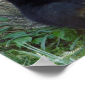 Riesenpanda, die sich gegen den Baum erhebt Poster (Ecke)