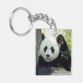 Riesenpanda, die sich gegen den Baum erhebt Schlüsselanhänger (Vorderseite links)