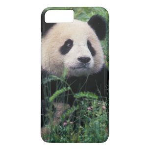 Riesenpanda im Gras, Wolong-Tal, Sichuan Case-Mate iPhone Hülle
