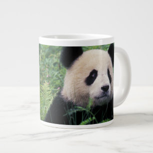 Riesenpanda im Gras, Wolong-Tal, Sichuan Jumbo-Tasse