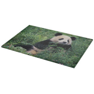 Riesenpanda im Gras, Wolong-Tal, Sichuan Schneidebrett
