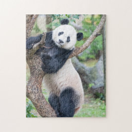 Riesenpanda in einem Baumpuzzle Puzzle