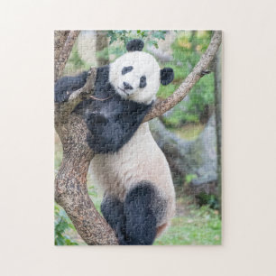 Riesenpanda in einem Baumpuzzle Puzzle