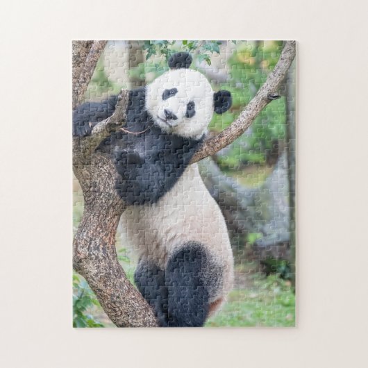 Riesenpanda in einem Baumpuzzle Puzzle (Vertikal)