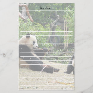 Riesenpanda in einem wilden Tierzoo Fotografie. Briefpapier