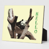 Riesenpanda in einem wilden Tierzoo Fotografie. Fotoplatte (Seite)