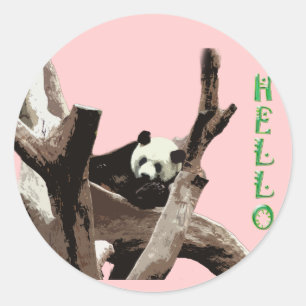 Riesenpanda in einer Wildtierzoo-Fotografie. Runder Aufkleber