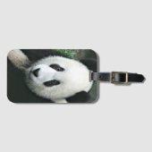 Riesenpanda in weichem grünem Gras Gepäckanhänger (Vorderseite (Horizontal))