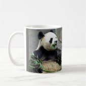 Riesenpanda isst Bambus Kaffeetasse (Links)