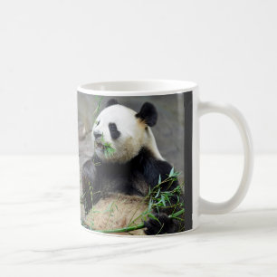 Riesenpanda isst Bambus Kaffeetasse