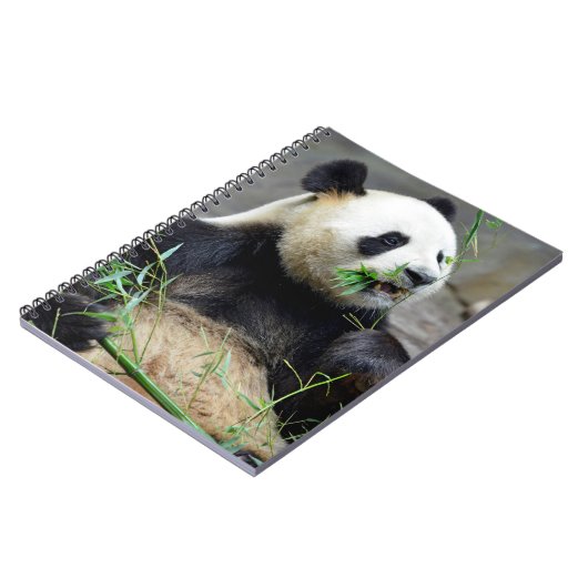 Riesenpanda isst Bambus Notizblock (Linke Seite)