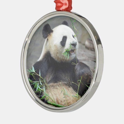 Riesenpanda isst Bambus Ornament Aus Metall (Links)