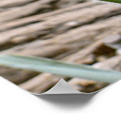 Riesenpanda isst Bambus Poster (Ecke)