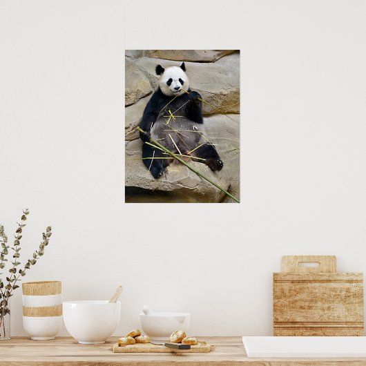 Riesenpanda isst Bambus Poster (Küche)