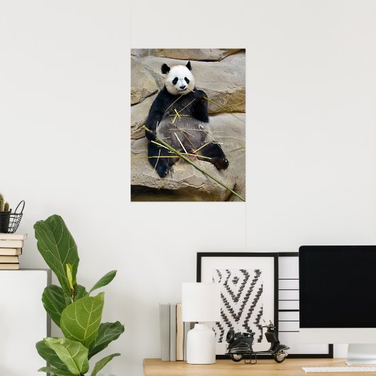 Riesenpanda isst Bambus Poster (Heimbüro)