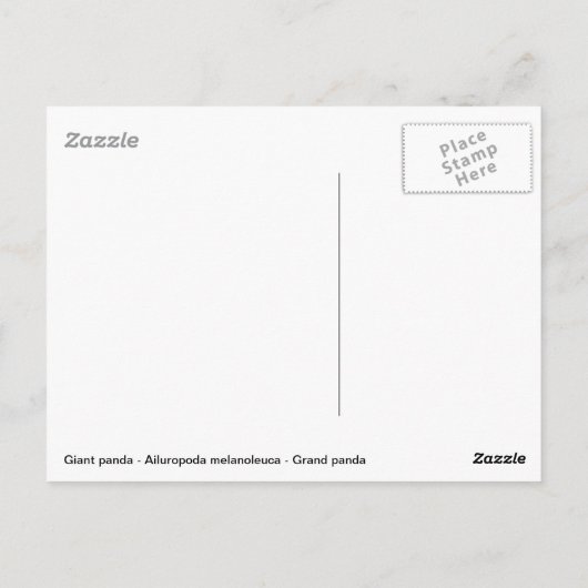 Riesenpanda isst Bambus Postkarte (Rückseite)