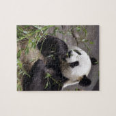 Riesenpanda isst Bambus Puzzle (Horizontal)