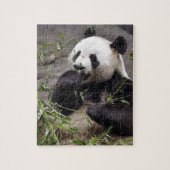 Riesenpanda isst Bambus Puzzle (Vertikal)