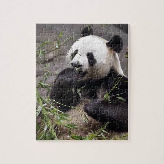 Riesenpanda isst Bambus Puzzle (Vertikal)