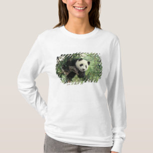Riesenpanda-Jungtier klettert auf einen Baum, Wolo T-Shirt